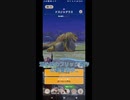 【mhnow】星6ドスジャグラス【下手なりのエンジョイ勢】
