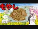 【VOICEVOX 四国めたん】 うちの定番!!  少し厚めのロースハムと特売のモヤシを使った「モヤシ炒め」を作りますわ!!