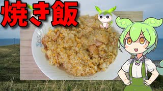 【VOICEVOX ずんだもん】  天気が悪いのだ!!  残り物のロースハムを使って「焼き飯」を作るのだ!!　