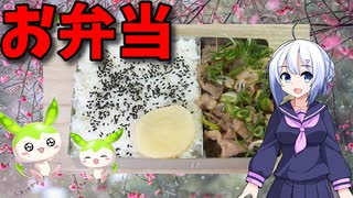 【VOICEVOX No.7】  うちの定番!!  ブタコマの焼肉とゴマ塩を使った「お弁当」を作ります!!