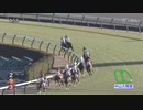 2023年 中山大障害（J･GⅠ） _ 第146回