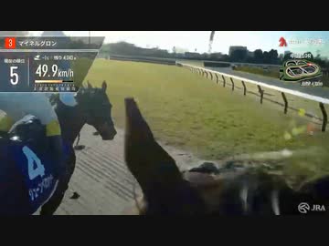 【ジョッキーカメラ】マイネルグロン騎乗の石神深一騎手ジョッキーカメラ映像｜2023年中山大障害