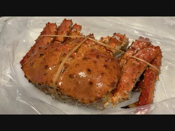 【夢グループ 声真似】夢のような鮮度と大きさのタラバガニ