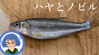 霊夢さんは貧乏すぎて雑草を食べるようです②「ノビル」