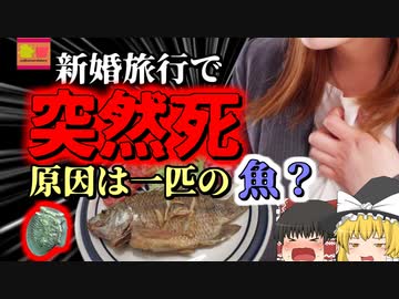 【2016年】お湯を冷たく 水を熱く感じる謎の症状 旅行先で口にした"ある魚"が持っていた 「見分けがつかない恐ろしい猛毒」【ゆっくり解説】