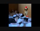 【ショート】そーっとプレゼントを置きに来た母だったが…