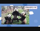 【2ch動物スレ】パンダはかわいいだけやないで！ ケツ○○な丸出しwww