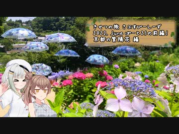 きせつの旅 さぶすぴーしーず　2023. June ぱーと2！の前編！　京都の紫陽花 編