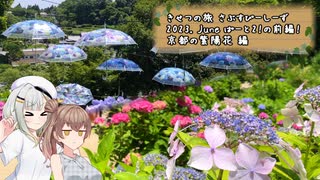 きせつの旅 さぶすぴーしーず　2023. June ぱーと2！の前編！　京都の紫陽花 編