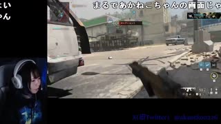 【あかねこ】公式の練習会！プロの人にCall of Duty教えてもらう～꜀ ꜆ᐢ  ̫ ᐢ꜆ #cod #MW3。2023年12月20日