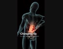 Elite Chiropractic Rehab & Wellness