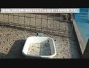 [HIKAKIN]　2021年人気動画トップ10