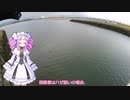 四国めたんの釣り日記 その３