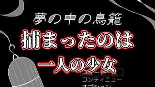 【夢の中の鳥籠 】捕まった少女の序章の物語