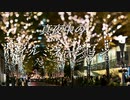 真夜中のイルミネーション / v_flower 【オリジナル曲】