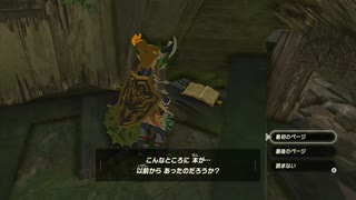 ゼルダの伝説　ブレス オブ ザ ワイルド　実況プレイPart136
