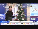 【魚住茉由】スタジオのクリスマスツリーに酒・カニ・白米・牛の飾り付け