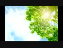 こんにちは♪【昼温和】No254≪矛盾を受けいれる強さ≫