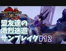 【MHRiseSB】盟友達の激烈迷遊サンブレイク#12【黒の中の白】
