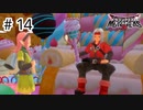 【実況】魔族の王子とエルフの旅【DQM3】＃14