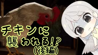チキンに襲われる！？(後編)
