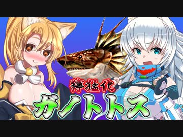 【MHXX】スラアク使いの狼ちゃんが征くダブルクロス編Part6【ゆっくり実況】