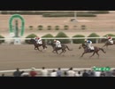 2023年12月24日佐賀競馬2R ＦＵＪＩ協賛 ＦＵＪＩ佐賀競馬写真展開催記念レース(C2-11組) キャメロンテソーロ