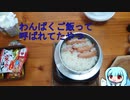 釜めしごはん、１合の贅沢　73合目 わんぱくご飯って呼ばれてたやつ