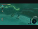 #69【ゼルダの伝説 ブレス オブ ザ ワイルド】最近龍によく会います！