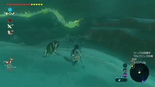 #69【ゼルダの伝説 ブレス オブ ザ ワイルド】最近龍によく会います！