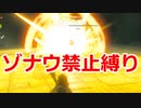 ゾナウ禁止縛りpart9【ティアキン/制限プレイ/ゼルダの伝説ティアーズオブザキングダム】