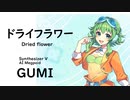 【ドライフラワー(Dried flower)/優里】Synthesizer V AI Megpoid(GUMI)【SynthV Cover カバー曲】