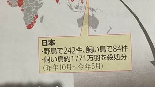 ロナウドの睡眠法と、鳥インフルも電磁波害だと思います。