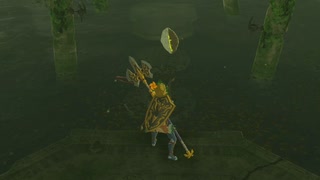ゼルダの伝説　ブレス オブ ザ ワイルド　実況プレイPart137