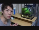 ゲ以魚駆蠅