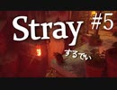 【Stray】Momoに会いに行くぞ【能井 遥】#5