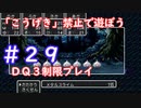 「こうげき」禁止で遊ぼう【ＤＱ３制限実況プレイ】＃２９