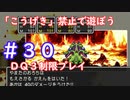 「こうげき」禁止で遊ぼう【ＤＱ３制限実況プレイ】＃３０