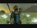 【実況】ゼルダの伝説 ティアーズオブザキングダムを遊ぶいも【#85】