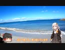 色々足りないうｐ主のゆっくり旅行記　沖縄編  第２話