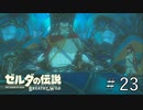 ゾーラの王ゾヨ【ゼルダの伝説ブレスオブザワイルド】#23