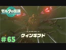 ようやくお目にかかれた！　「ゼルダの伝説～ティアーズ・オブ・ザ・キングダム」　＃65