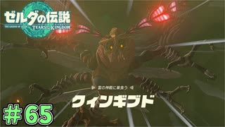 ようやくお目にかかれた！　「ゼルダの伝説～ティアーズ・オブ・ザ・キングダム」　＃65