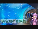浜名湖の水族館【ぶらり日帰り旅行】