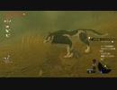 #70【ゼルダの伝説 ブレス オブ ザ ワイルド】ウルフリンクイケメンやな～！
