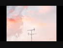 「泣けない遺体」/初音ミク