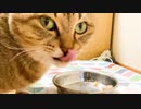 食べるだけのクリスマス