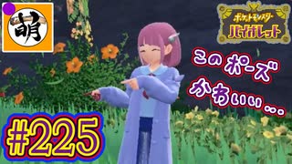 【ゆたポケ旅 藍の円盤編!】ポケットモンスター バイオレットをゆたぁ～りと　#225 [萌黄鮭]