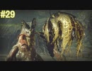 【MHRise】モンスターハンターライズ 実況プレイ part29