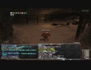 【FF11】レベリング Lv70台【召喚士】